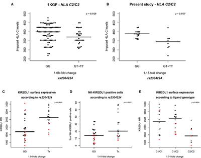 Single Nucleotide Polymorphism in KIR2DL1 Is Associated With HLA-C Expression in Global Populations